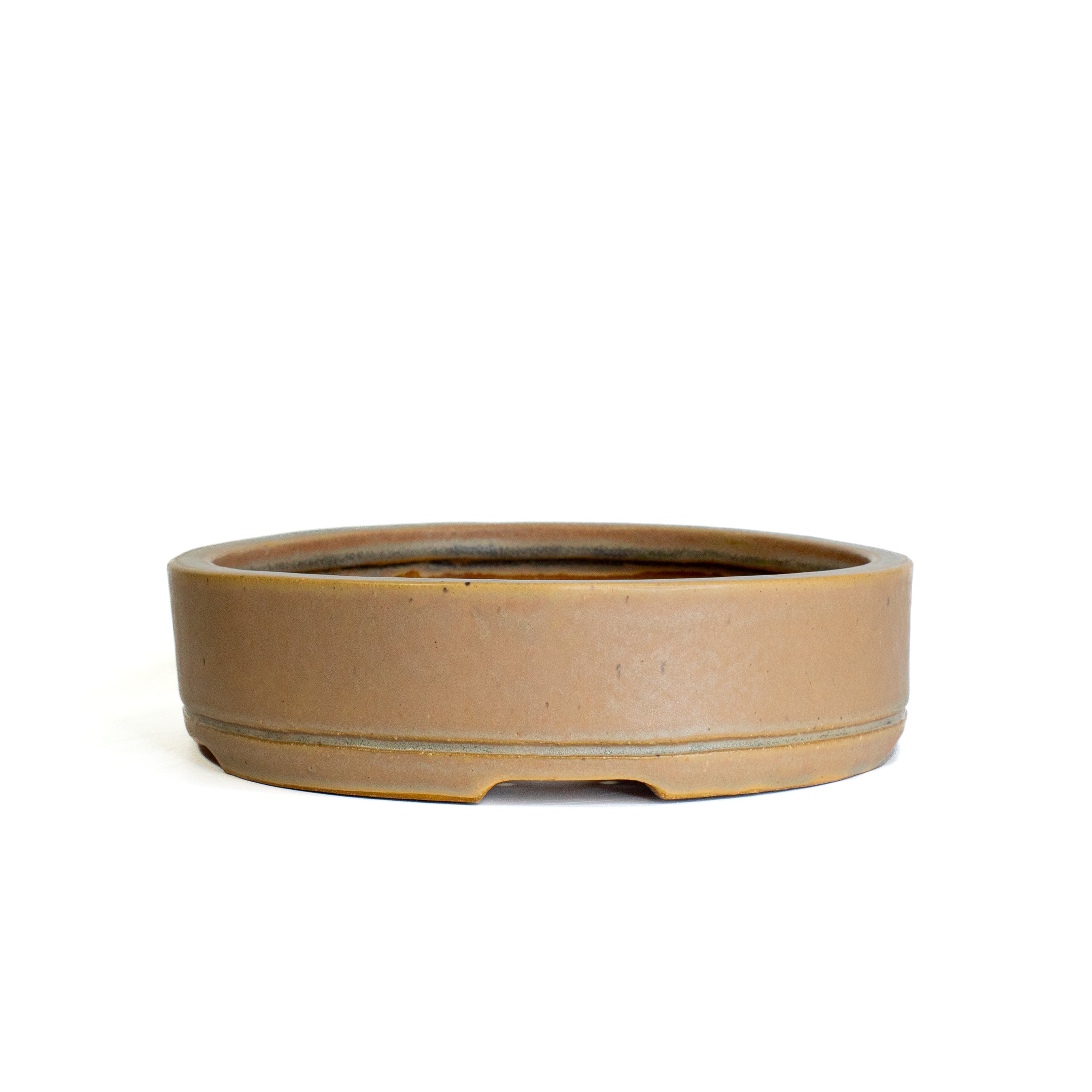 Oval Medium Bonsai Pot #281 – Drayton Mujo Ceramics